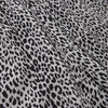 Hide and Seek Leopard Short (WHT)